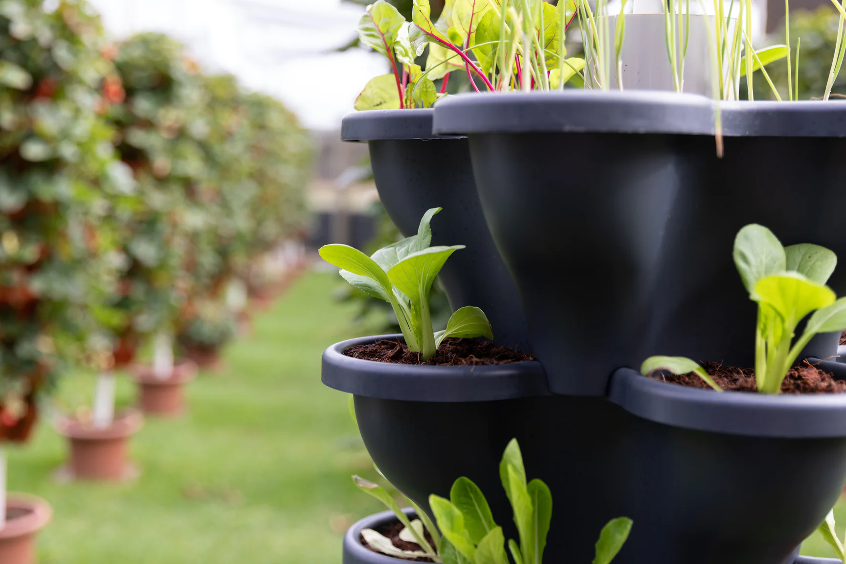 Vertical planter