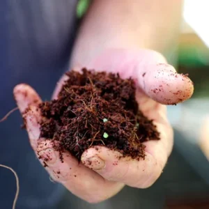 Coir Blocks 70/30 Blend