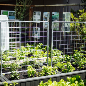 Foodcube Trellis
